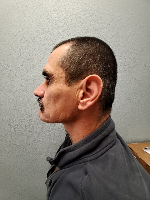 Side mugshot image of David Robert Brieno