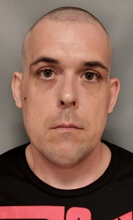 Front mugshot image of William Robert Gomes
