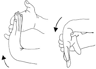 Example of a Wrist Extension and Flexion Stretch