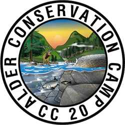 Alder Conservation Camp Logo