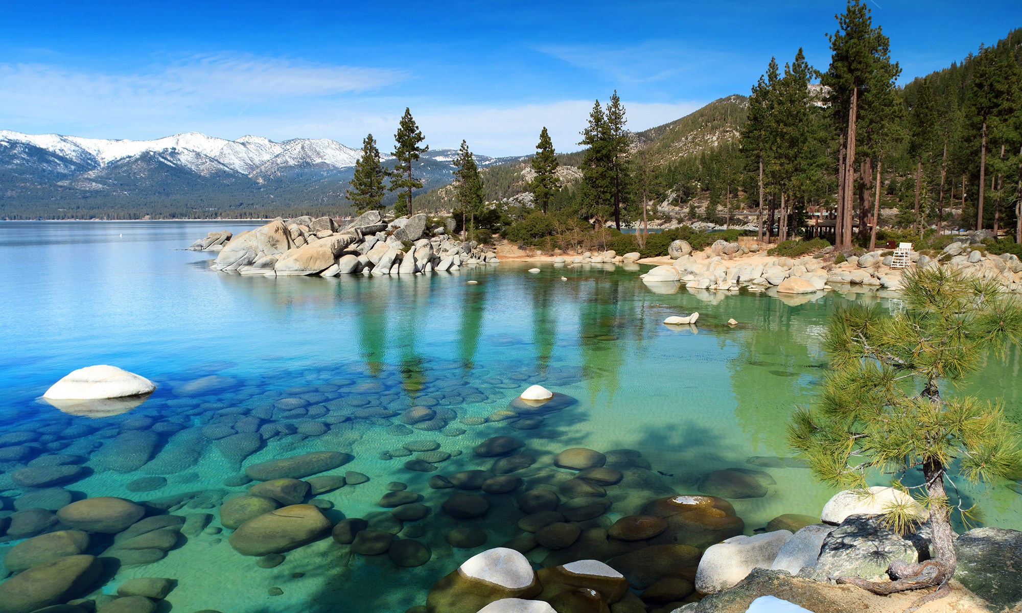 Lake Tahoe with clear water surrounded by snow cap mountains and trees