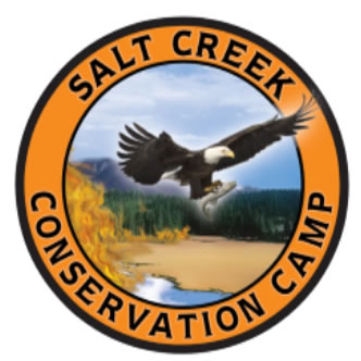 Salt Creek Logo