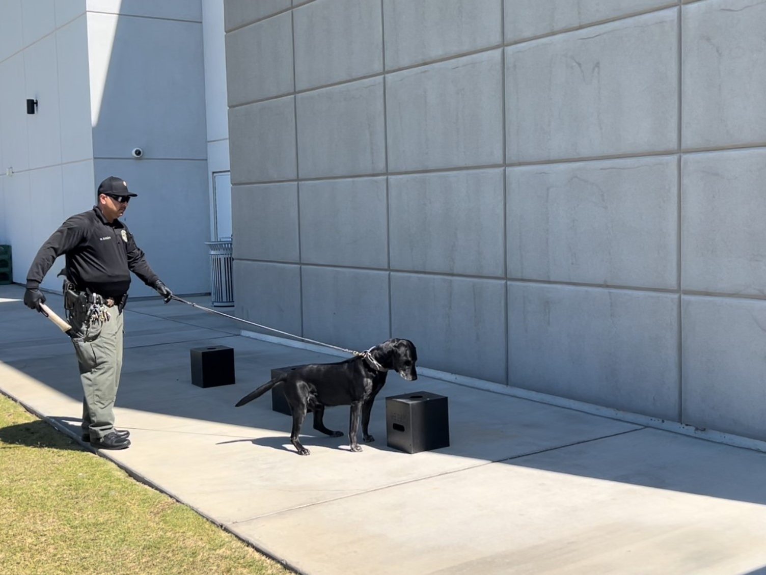 K9 Tucker pointing to box with cell phones