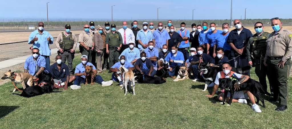 A large group of incarcerated people, staff, and dogs on the yard.