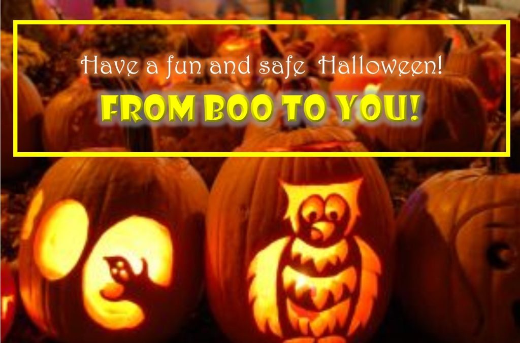 Have a Fun and Safe Halloween! From Boo to You! 

Carved Pumpkin photo

