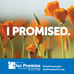 Graphic of California poppies with the words "Our Promise: California State Employees Giving Back at Work"