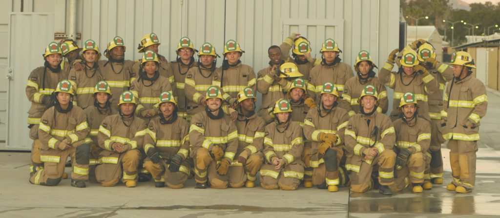 A large group of firefighters.