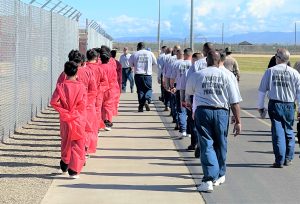 A row of youth in red jumpsuits walks on a prison yard next to a row of incarcerated people wearing Tshirts that say "Youth Diversion Program" on the back.