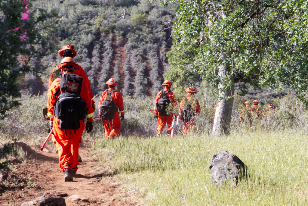 Incarcerated firefighters wearing orange walking down a trail away from the camera