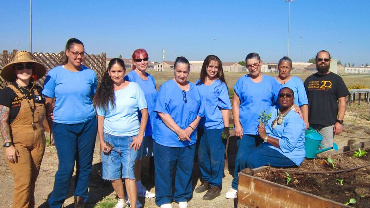 A group of women and one man outside standing by raised beds