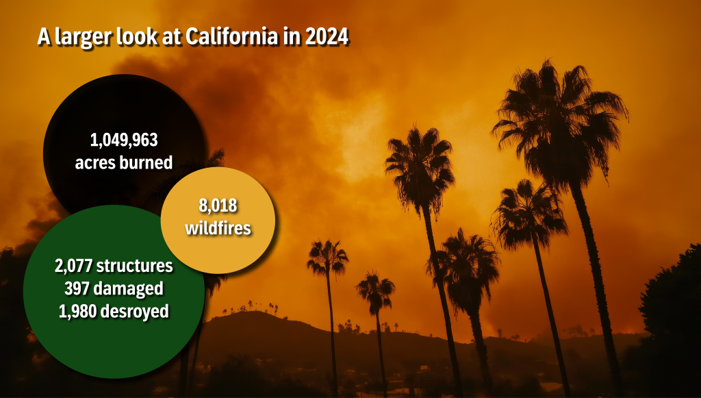 A larger look at the stats of California wildfires in 2024