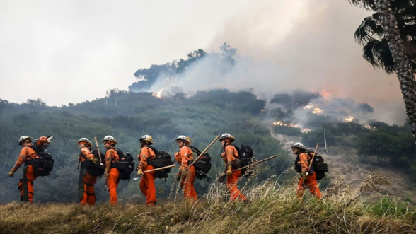 Incarcerated hand crews in Malibu fire