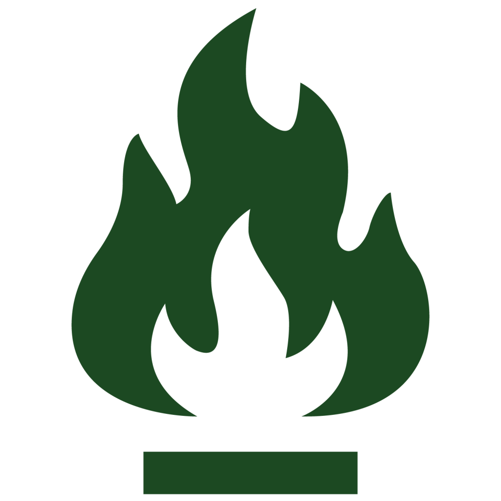 fire icon